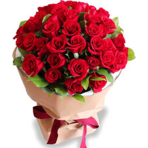 48 Long Roses